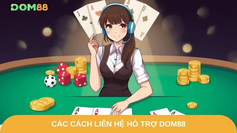 Những kênh liên hệ hỗ trợ nhà cái đang có