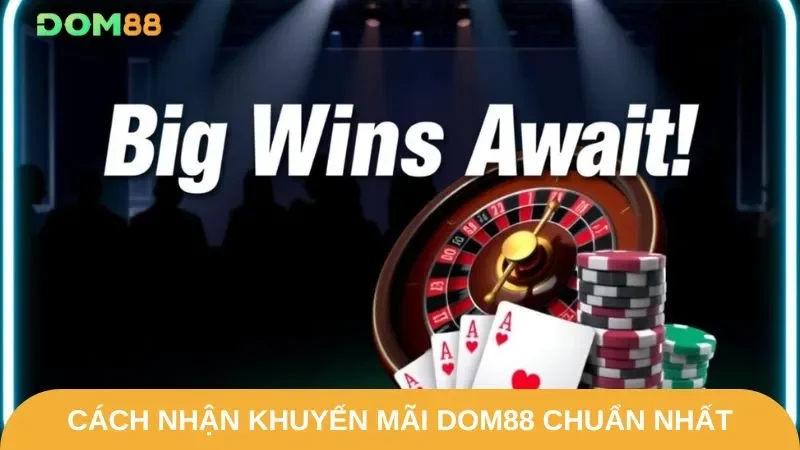 Lý do khuyến mãi DOM88 được nhiều hội viên săn đón