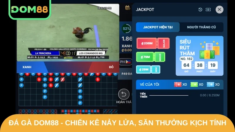 đá gà DOM88