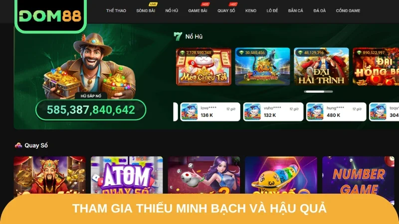 Tham gia thiếu minh bạch và hậu quả