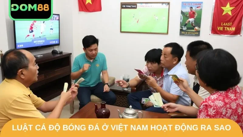 Luật cá độ bóng đá ở Việt Nam áp dụng ra sao?