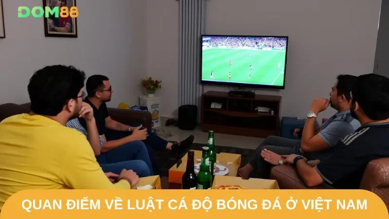 Quan điểm về luật cá độ bóng đá ở Việt Nam