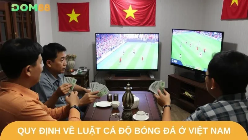 Dom88 chia sẻ về luật cá độ bóng đá ở Việt Nam